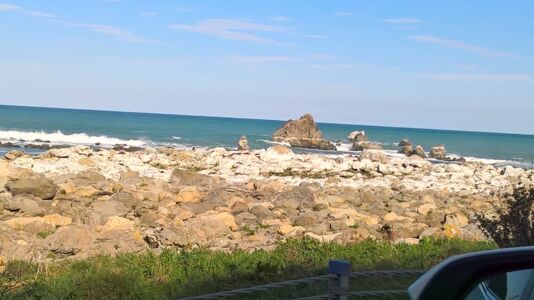 Count the seals, there are masses of them!!