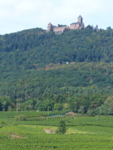 A commanding presence.