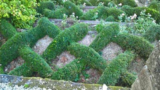 basket weave garden2