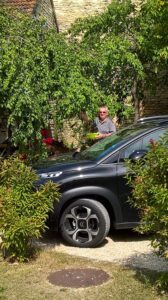 Picking plums in Noyers