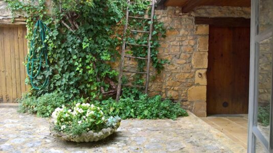 Squirrel stairway to HEAVEN