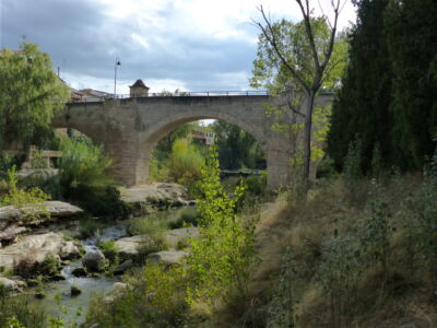 Village bridge