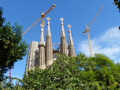 Towering over the trees