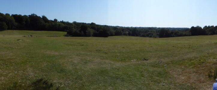 Harold's view down hill.